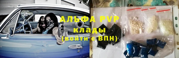 бошки Алексин