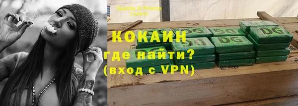 стафф Алзамай