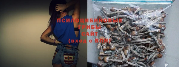 2c-b Алексеевка