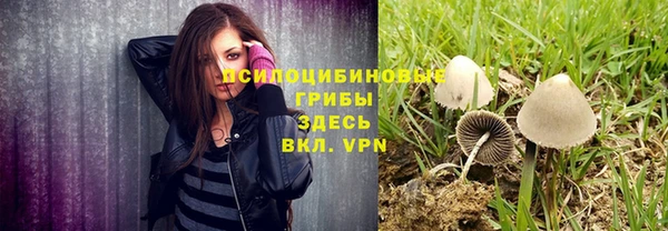 бошки Алексин