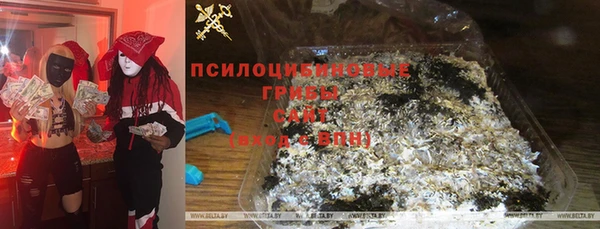 стафф Алзамай