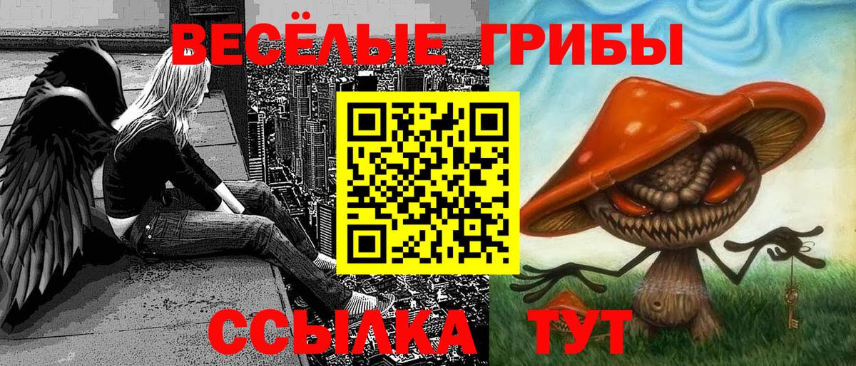 Псилоцибиновые грибы GOLDEN TEACHER Сухой Лог