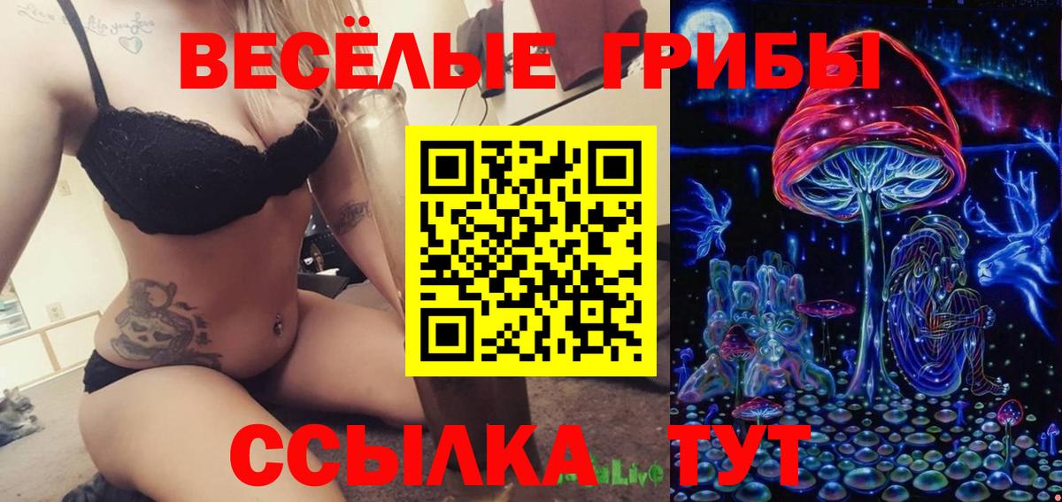 Галлюциногенные грибы Magic Shrooms  где купить наркоту  Сухой Лог  Псилоцибиновые грибы Magic Shrooms  Вход с VPN 