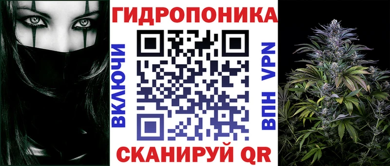 Бошки Шишки планчик  Сухой Лог 